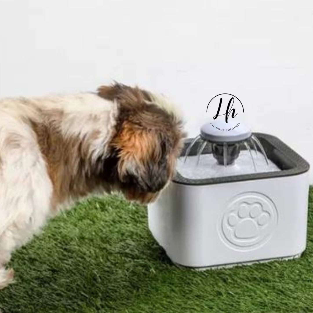 Fuente de agua para mascotas